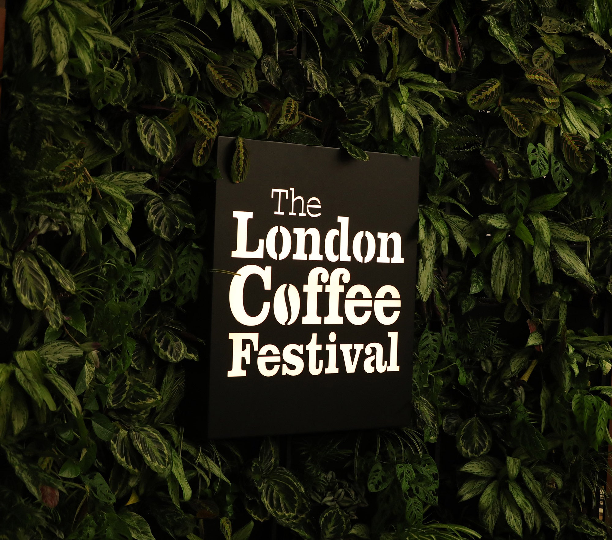 Merchant & Friends auf dem London Coffee Festival – Bio-Specialty aus dem Alpenland